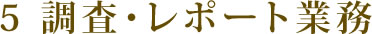 5 調査・レポート業務